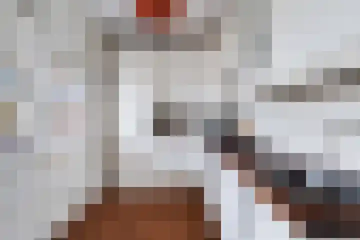 Santhorst 63 Leiderdorp thumbnail 22