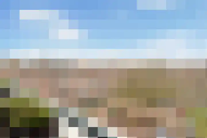 Santhorst 63 Leiderdorp thumbnail 38