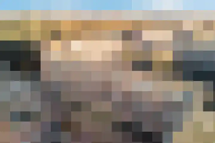 Santhorst 63 Leiderdorp thumbnail 47