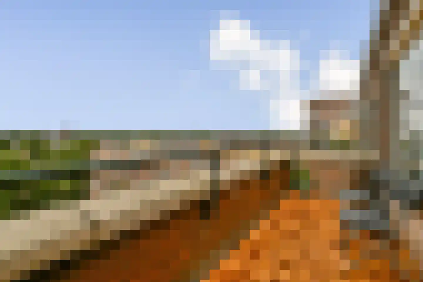 Santhorst 77 Leiderdorp thumbnail 13