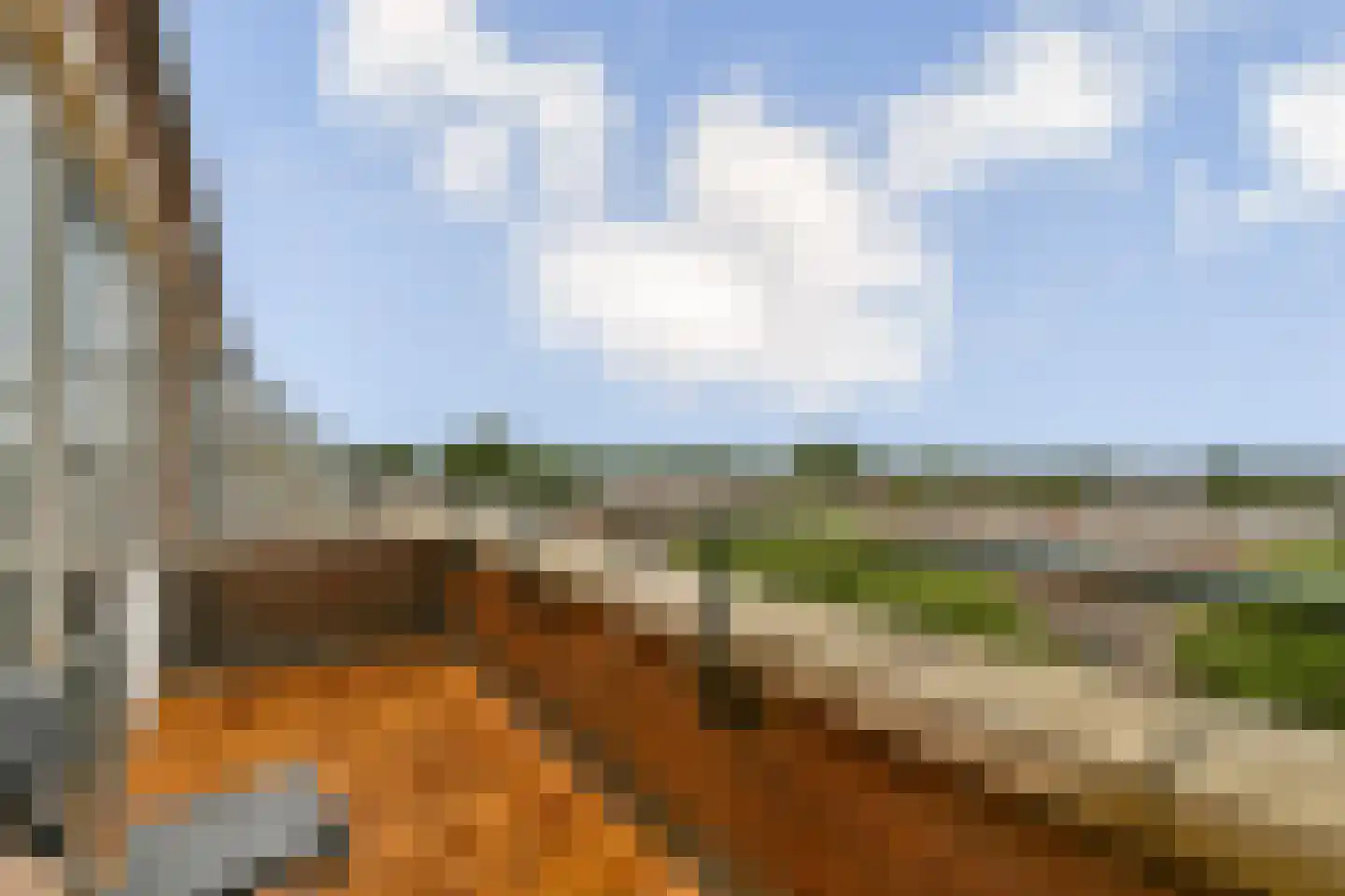 Santhorst 77 Leiderdorp thumbnail 14
