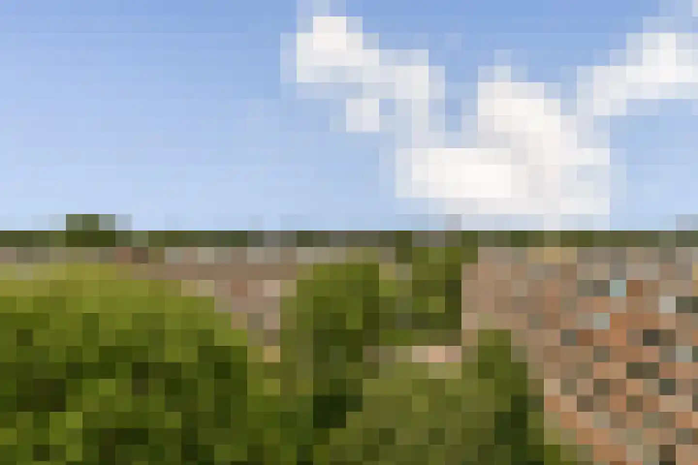 Santhorst 77 Leiderdorp thumbnail 15