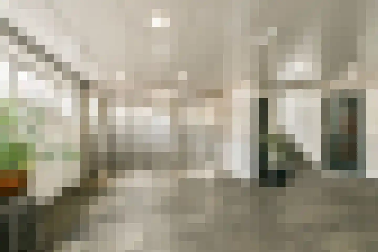 Santhorst 77 Leiderdorp thumbnail 23