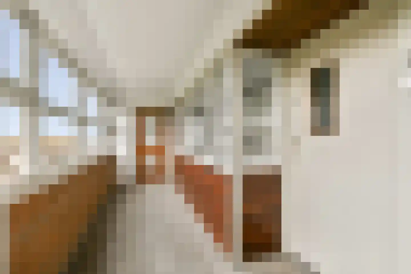 Santhorst 77 Leiderdorp thumbnail 24