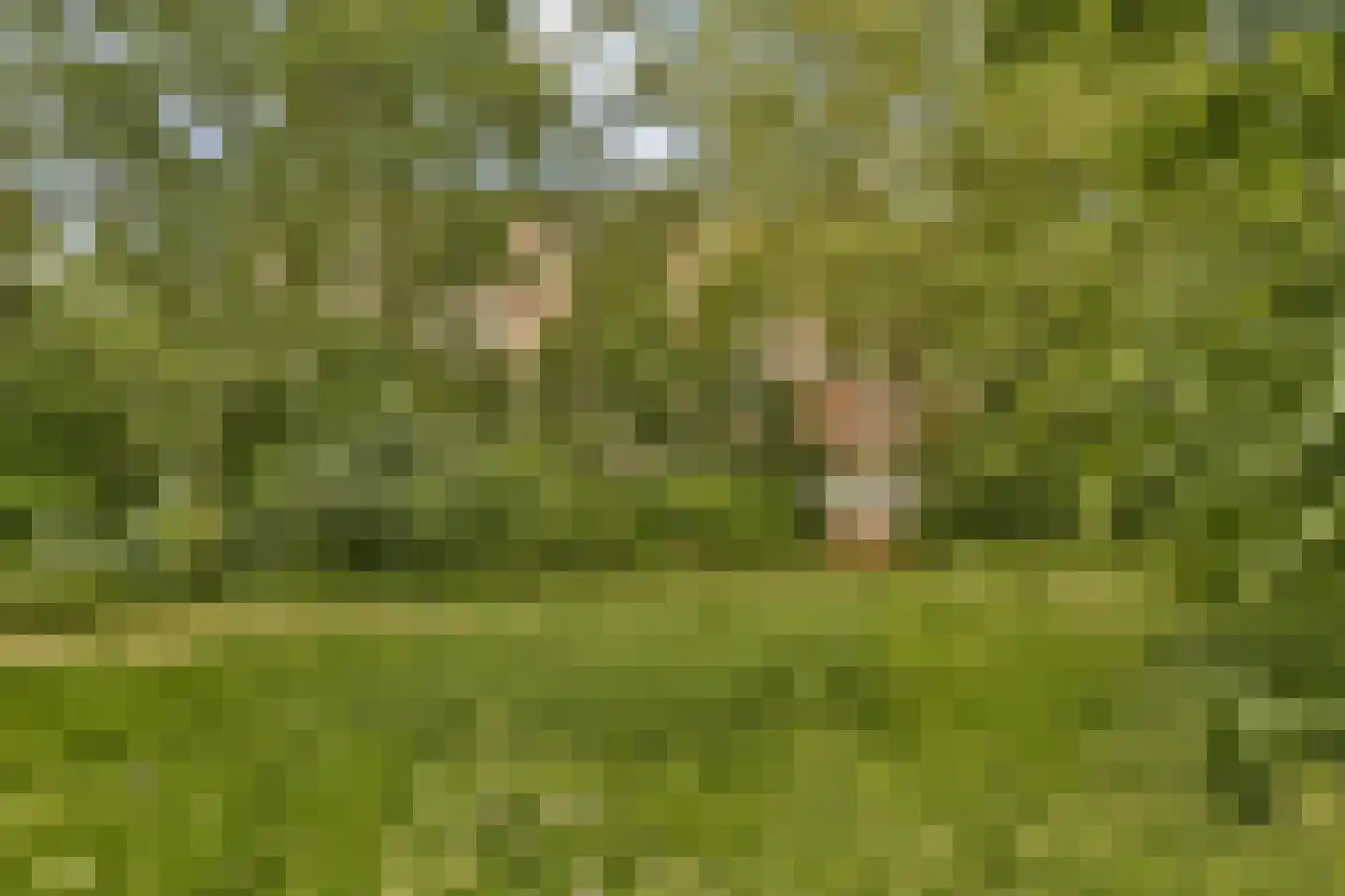 Santhorst 77 Leiderdorp thumbnail 26