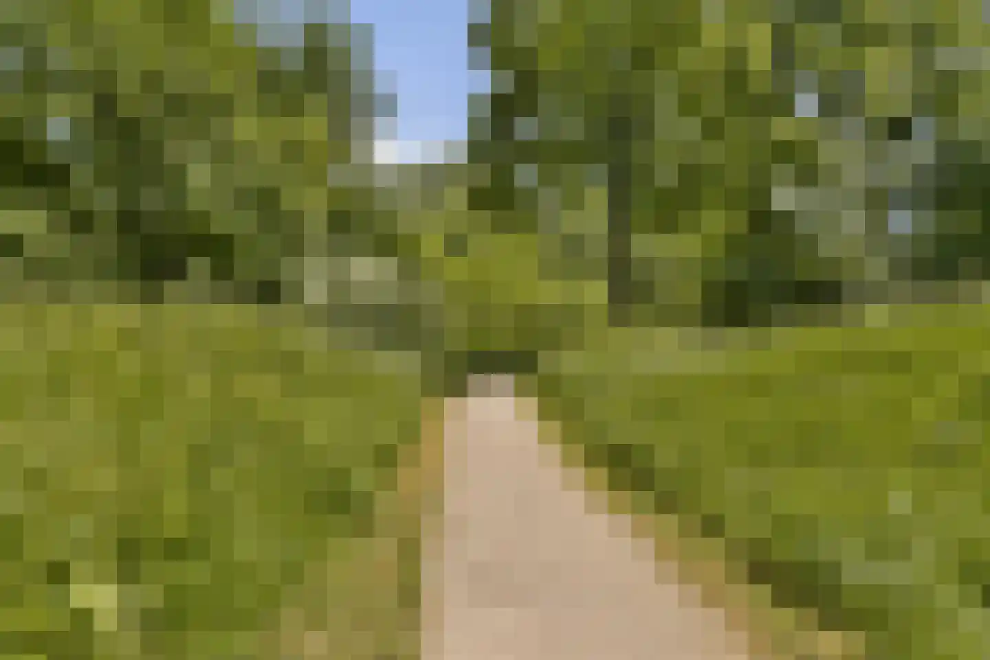 Santhorst 77 Leiderdorp thumbnail 27