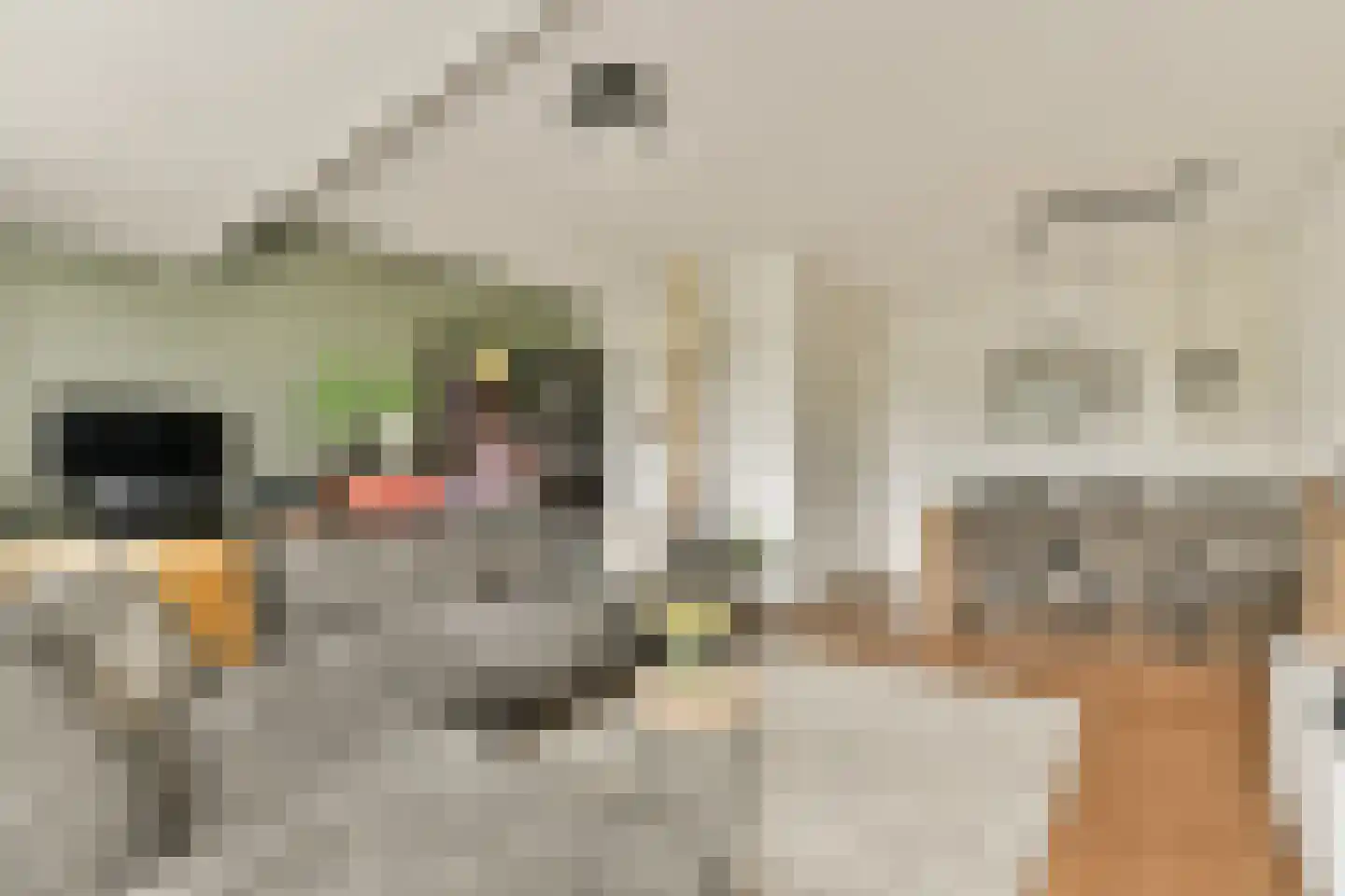 Santhorst 77 Leiderdorp thumbnail 4