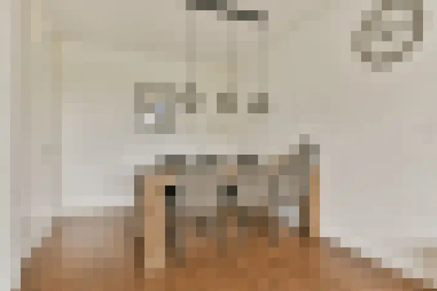 Santhorst 77 Leiderdorp thumbnail 5
