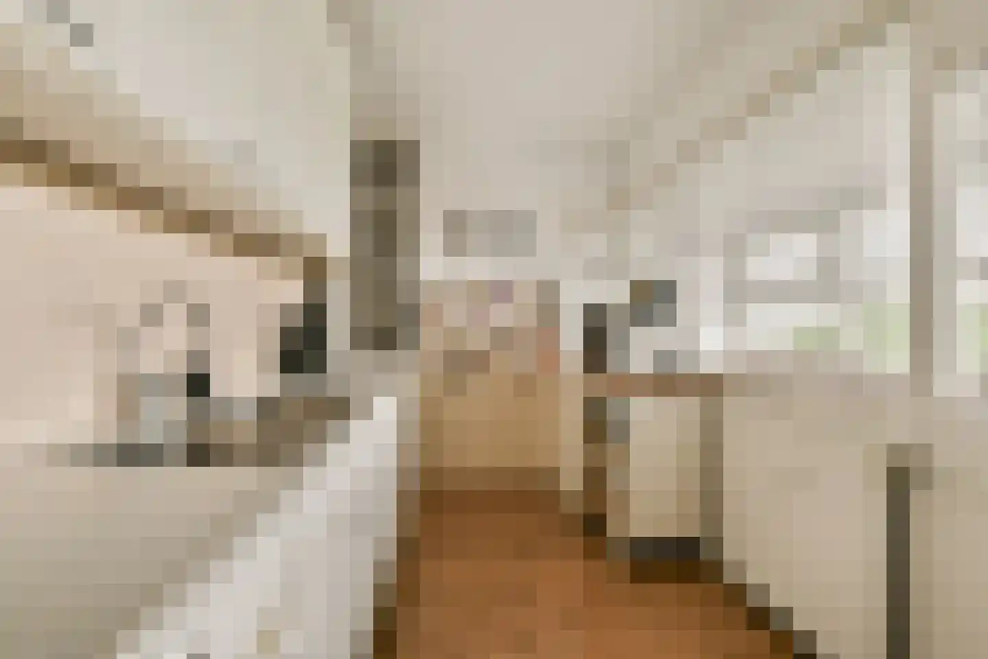 Santhorst 77 Leiderdorp thumbnail 7