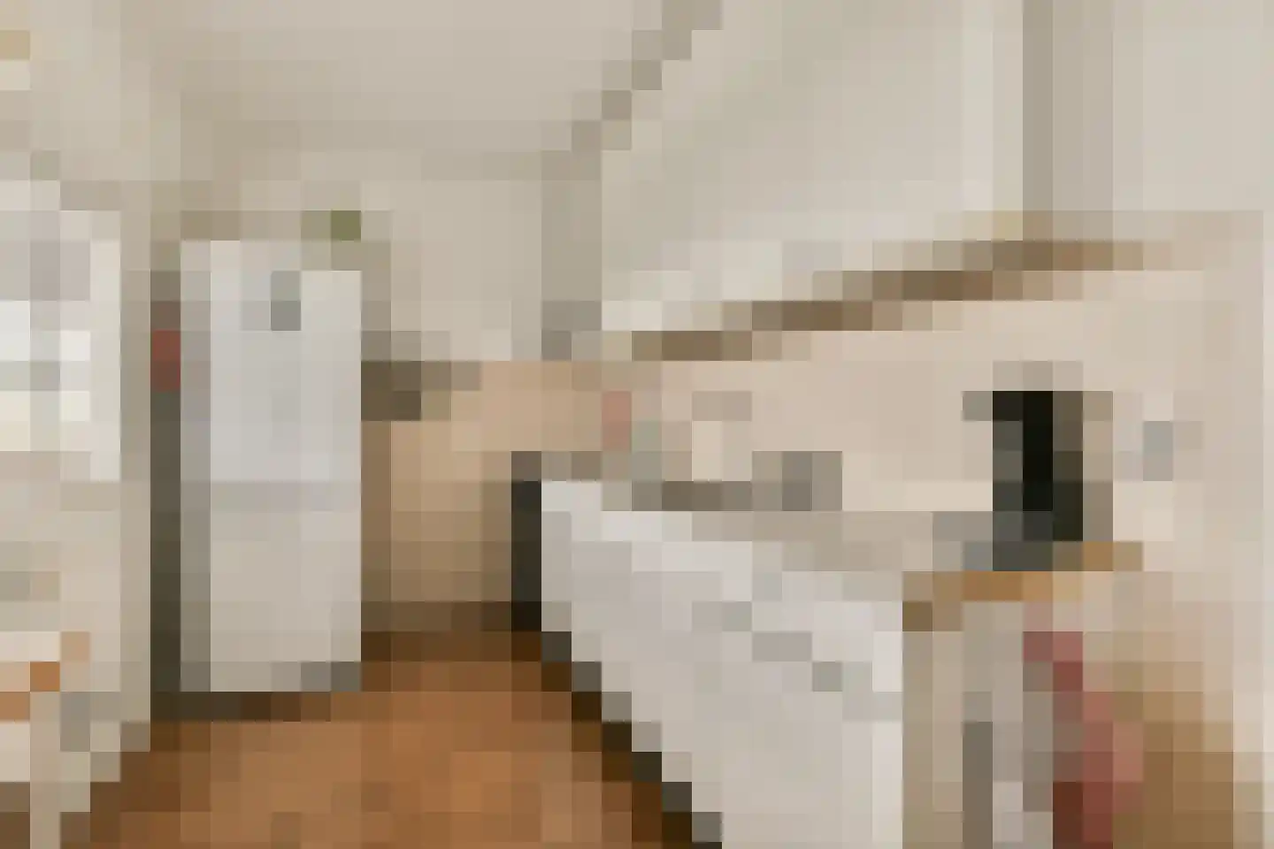 Santhorst 77 Leiderdorp thumbnail 8