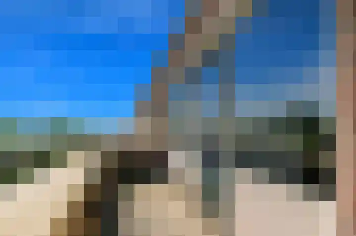 Santhorst 79 Leiderdorp thumbnail 19