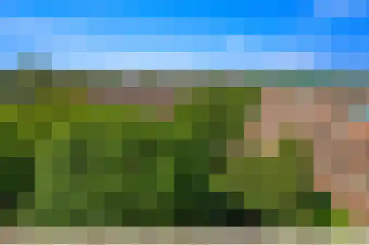 Santhorst 79 Leiderdorp thumbnail 36