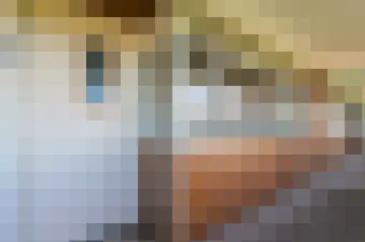 Santhorst 79 Leiderdorp thumbnail 4