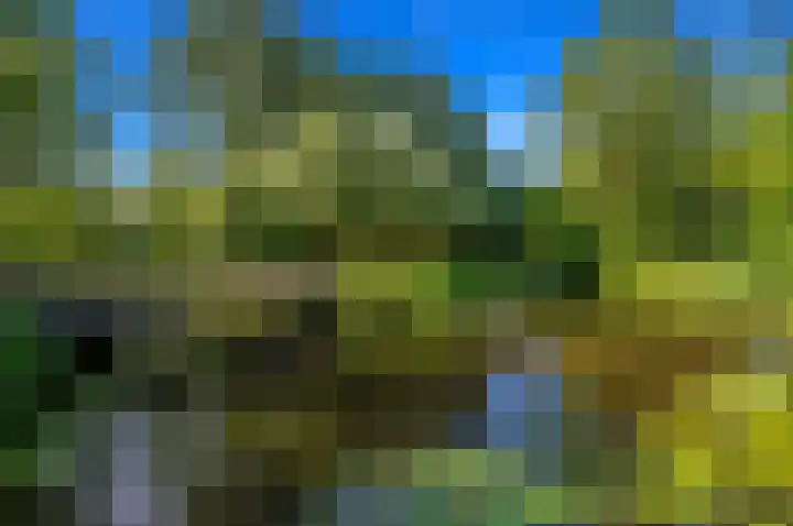 Santhorst 79 Leiderdorp thumbnail 44