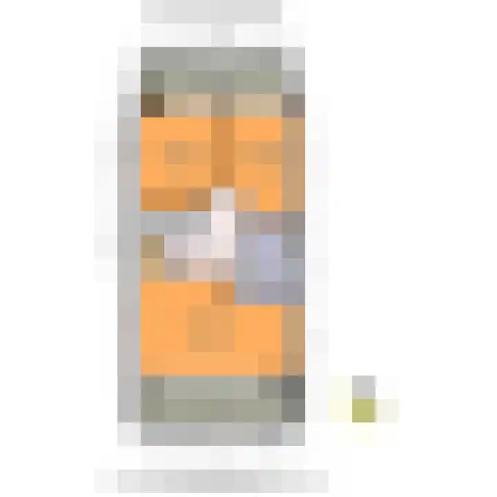 Santhorst 79 Leiderdorp thumbnail 48