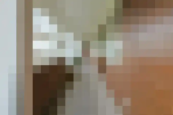Santhorst 85 Leiderdorp thumbnail 11