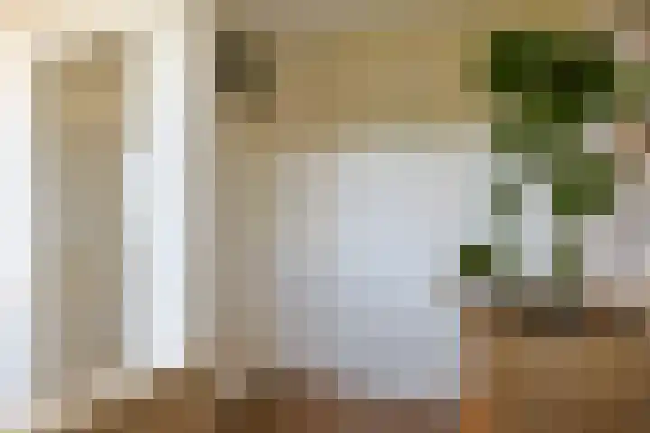Santhorst 85 Leiderdorp thumbnail 13