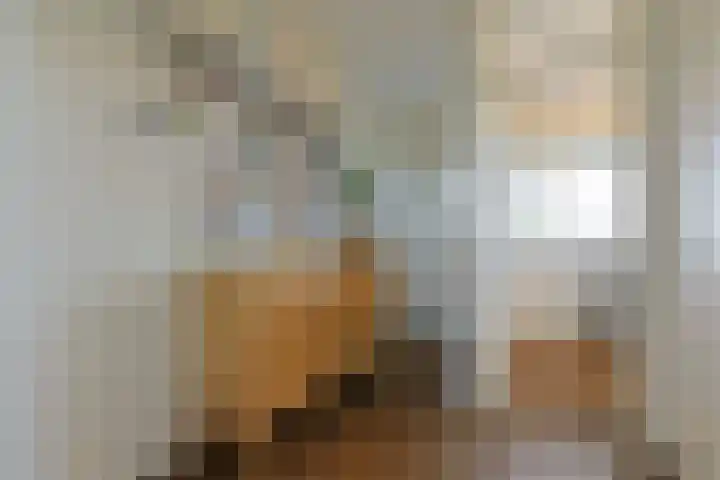 Santhorst 85 Leiderdorp thumbnail 14