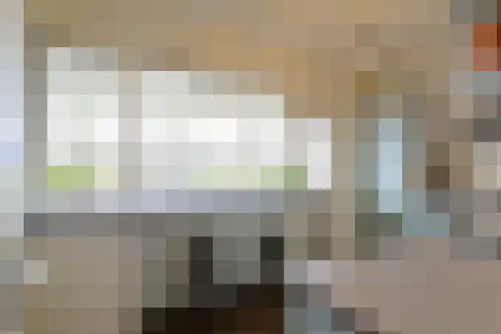 Santhorst 85 Leiderdorp thumbnail 15