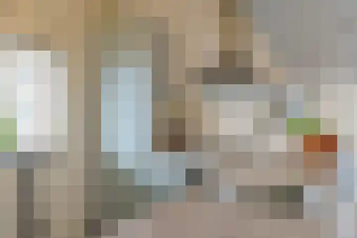Santhorst 85 Leiderdorp thumbnail 16
