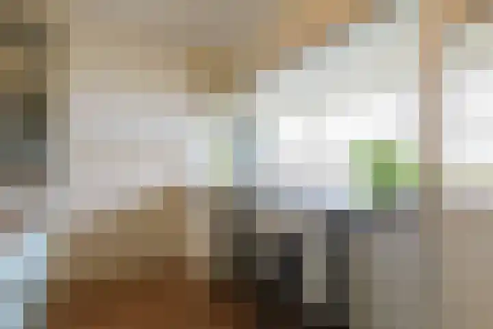 Santhorst 85 Leiderdorp thumbnail 17