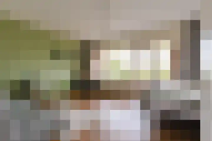 Santhorst 85 Leiderdorp thumbnail 18