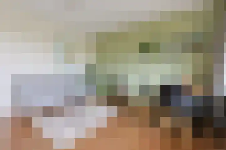 Santhorst 85 Leiderdorp thumbnail 19