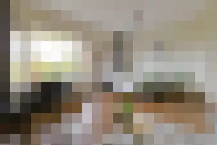 Santhorst 85 Leiderdorp thumbnail 20