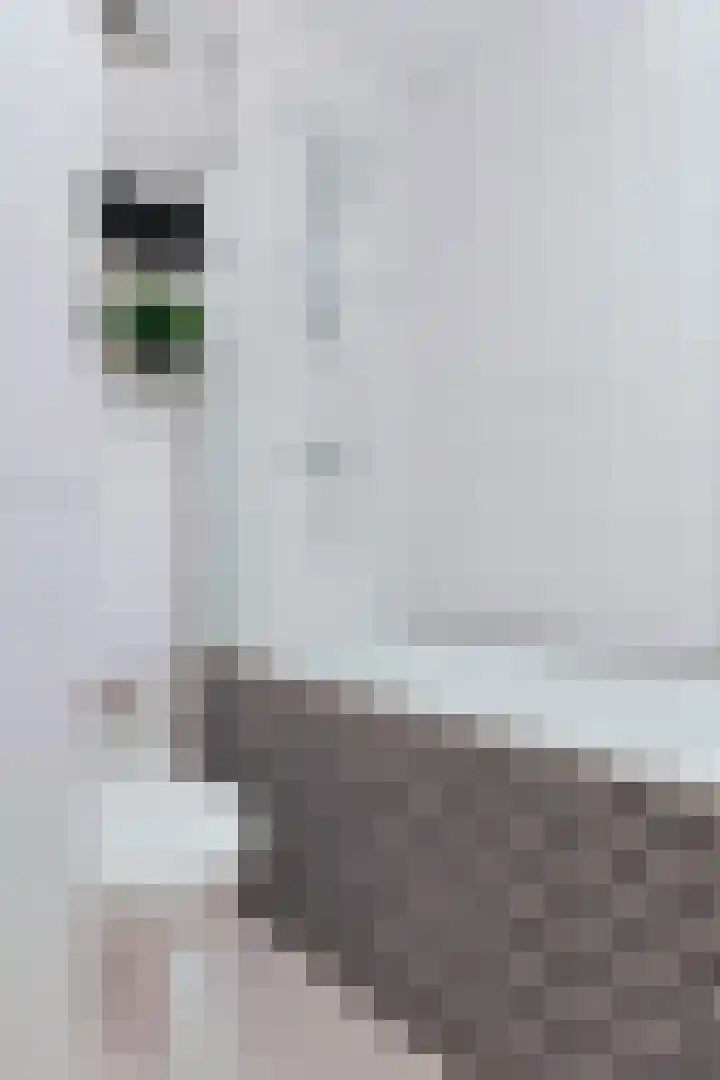 Santhorst 85 Leiderdorp thumbnail 22