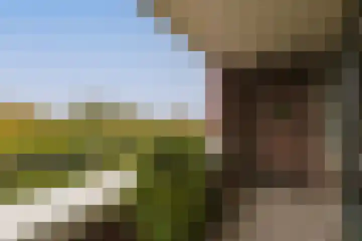 Santhorst 85 Leiderdorp thumbnail 24
