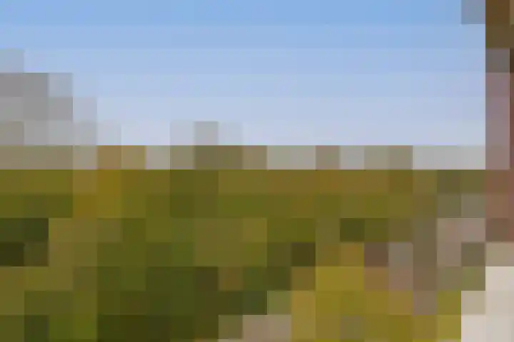 Santhorst 85 Leiderdorp thumbnail 25