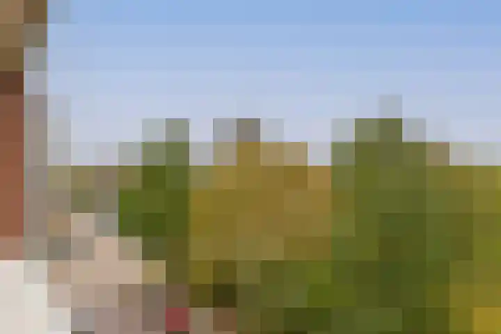 Santhorst 85 Leiderdorp thumbnail 26