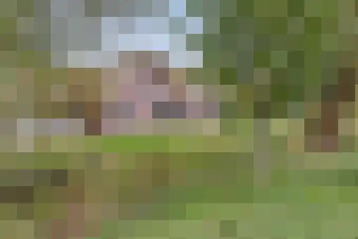 Santhorst 85 Leiderdorp thumbnail 29