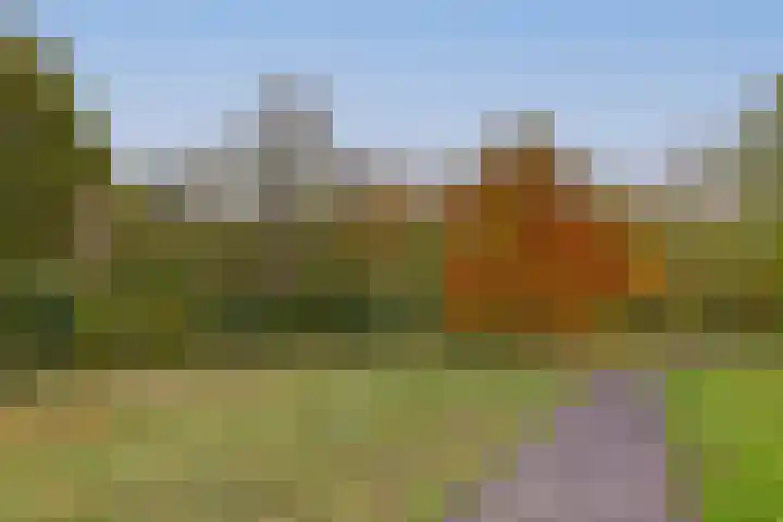 Santhorst 85 Leiderdorp thumbnail 30