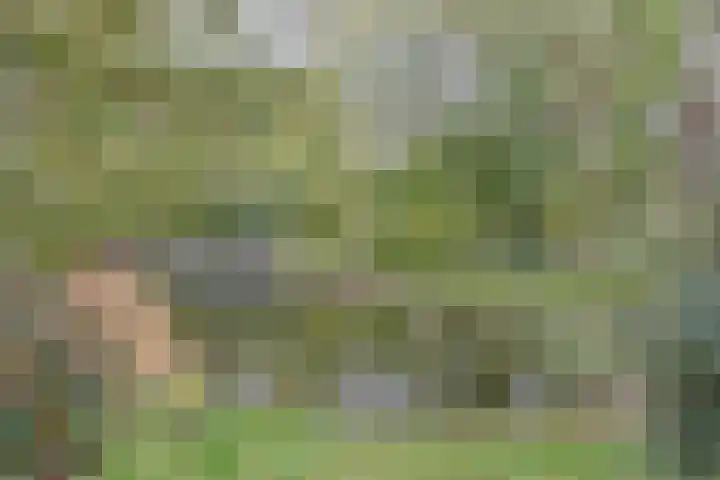 Santhorst 85 Leiderdorp thumbnail 31