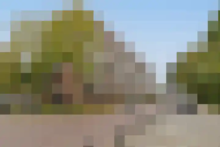 Santhorst 85 Leiderdorp thumbnail 7