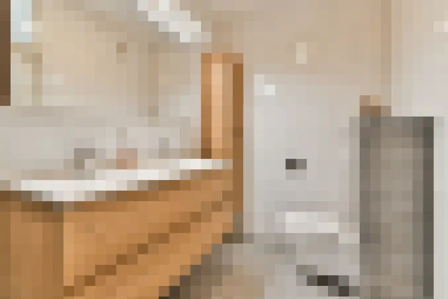 Santhorst 99 Leiderdorp thumbnail 12