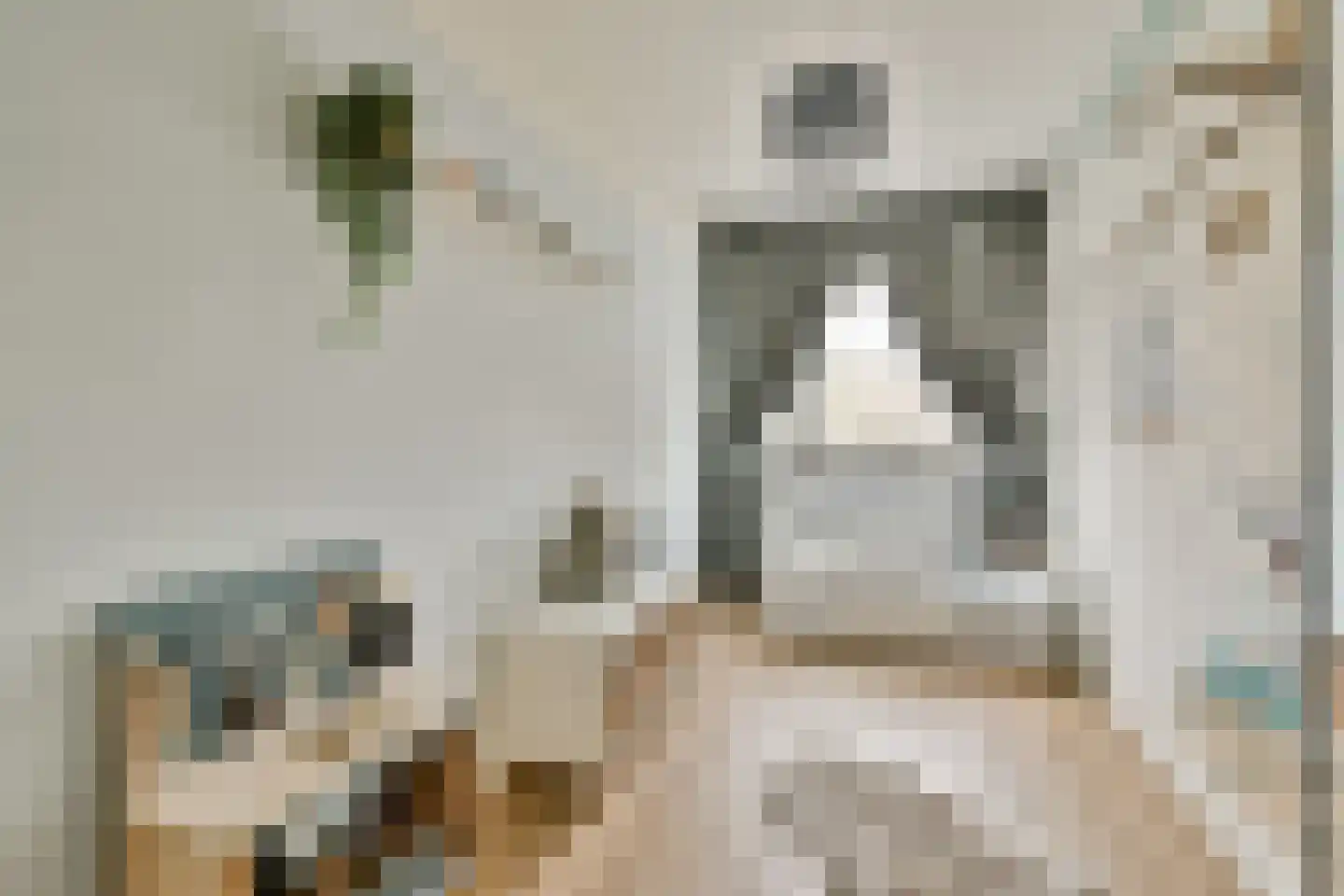 Santhorst 99 Leiderdorp thumbnail 14