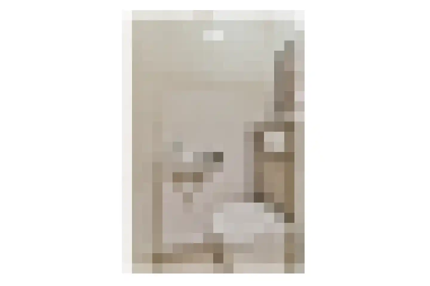 Santhorst 99 Leiderdorp thumbnail 4