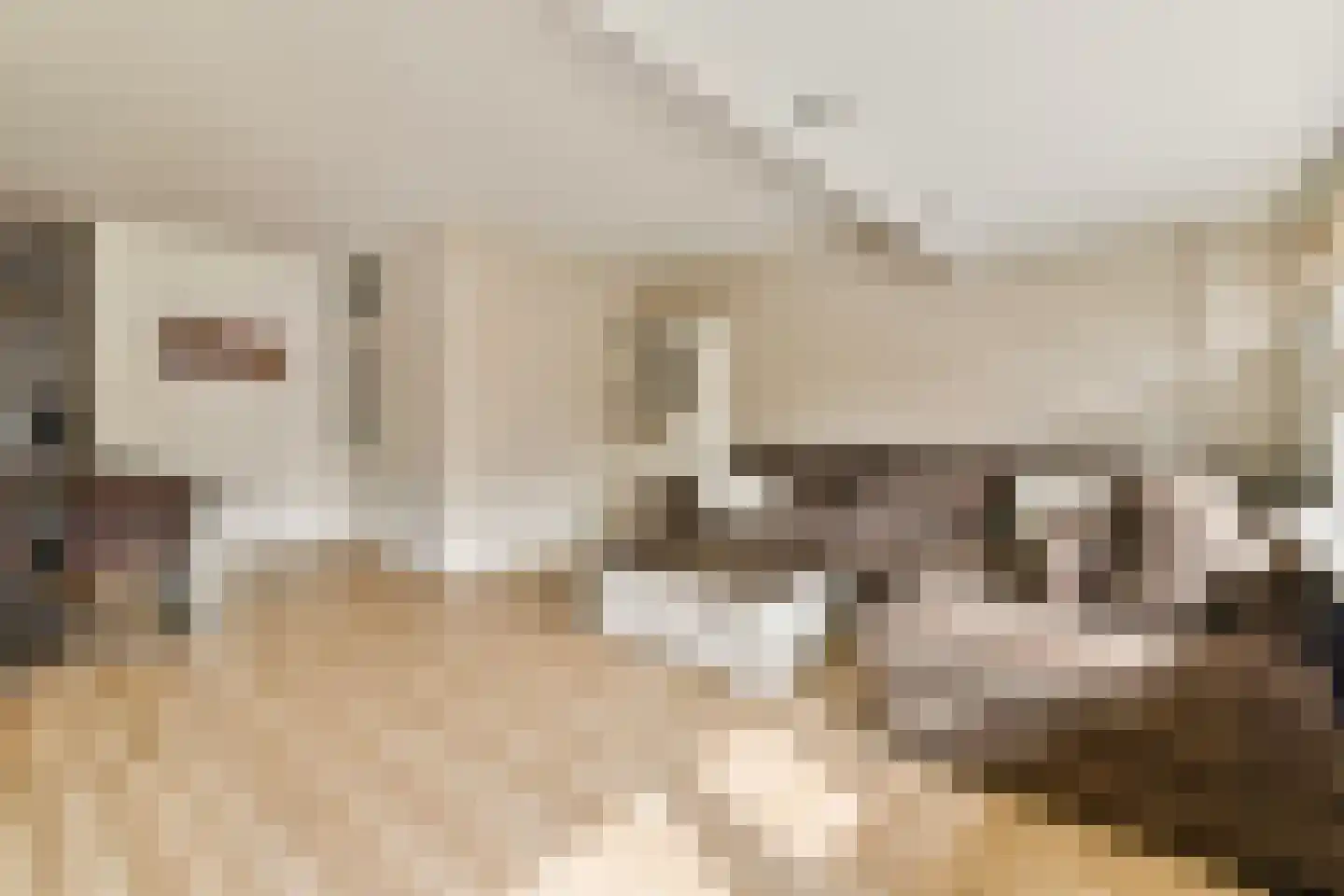 Santhorst 99 Leiderdorp thumbnail 5