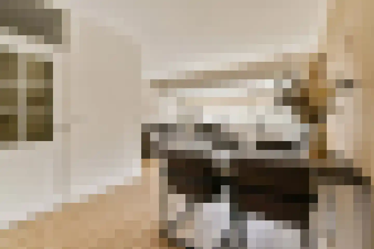 Santhorst 99 Leiderdorp thumbnail 6