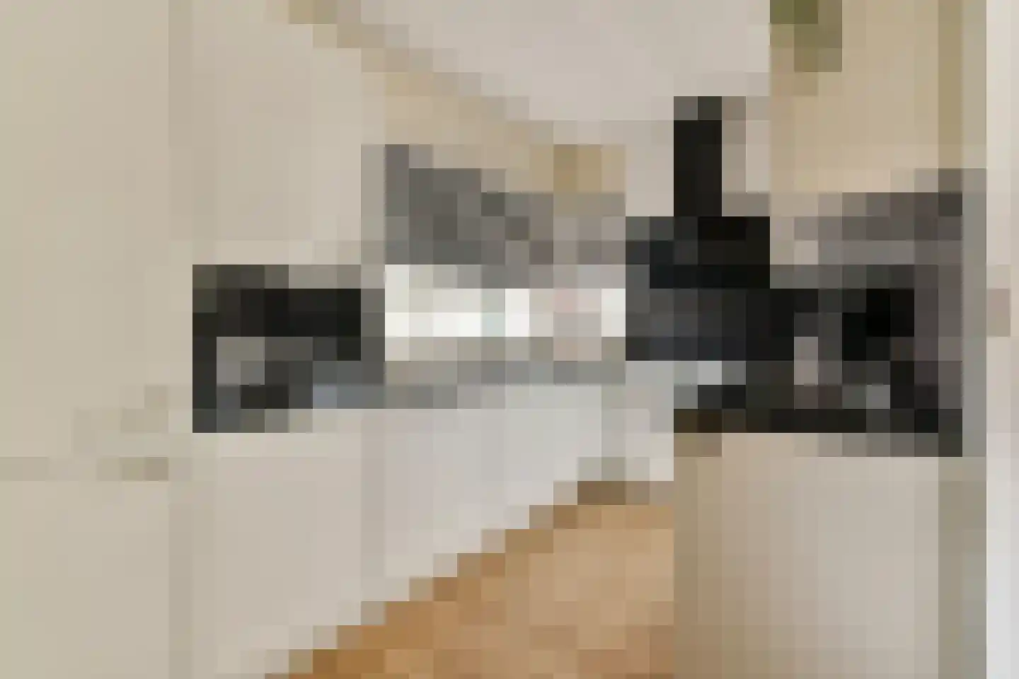 Santhorst 99 Leiderdorp thumbnail 7