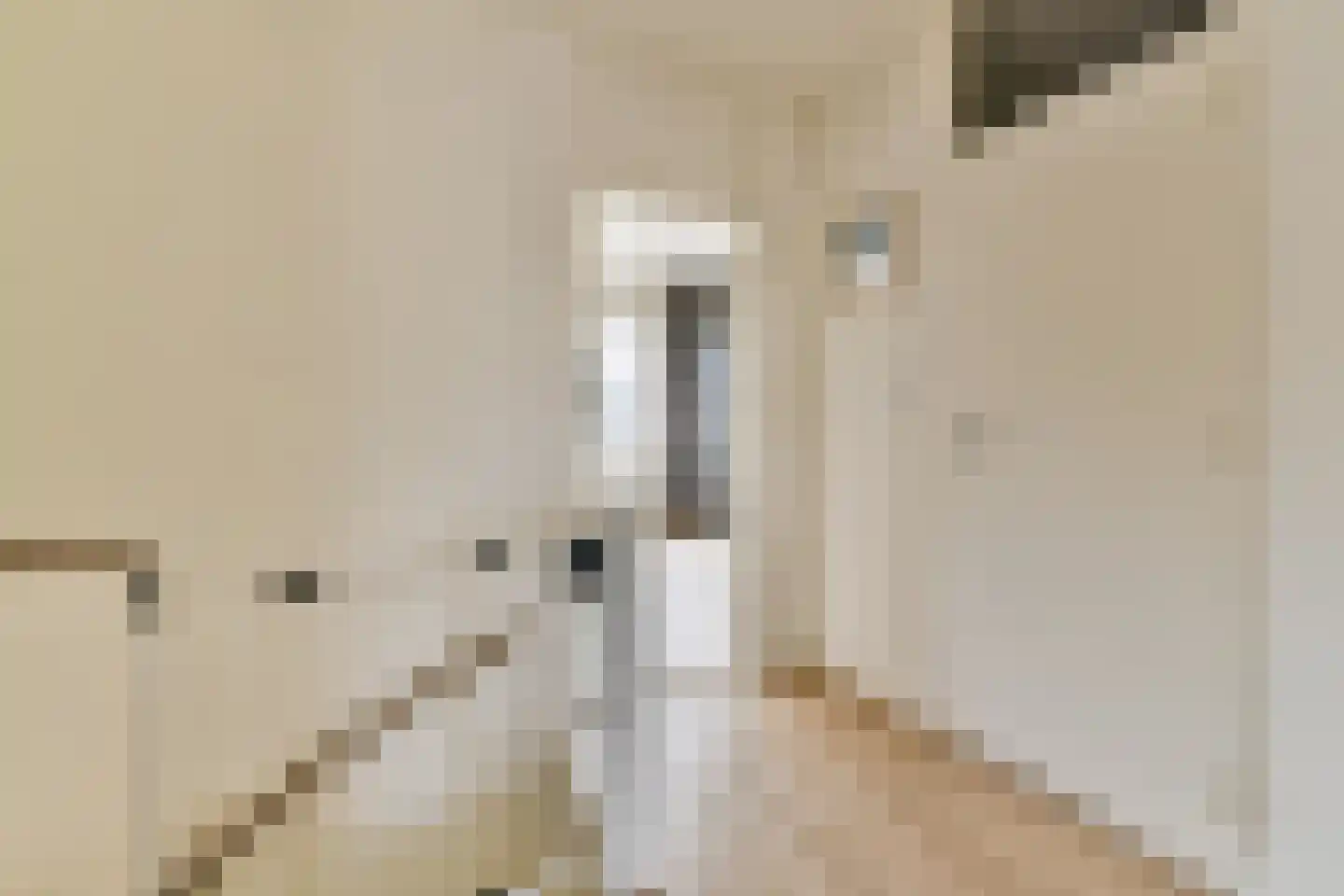 Santhorst 99 Leiderdorp thumbnail 8