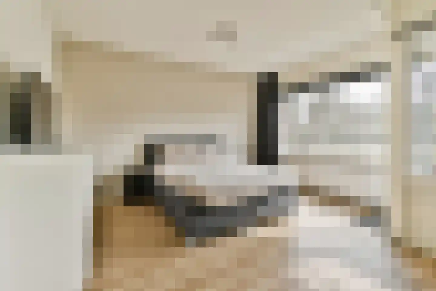 Santhorst 99 Leiderdorp thumbnail 9