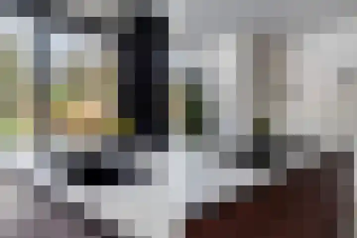 Santhorsthof 22 Monster thumbnail 29