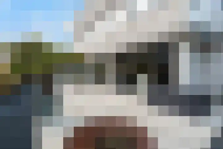 Santhorsthof 22 Monster thumbnail 31