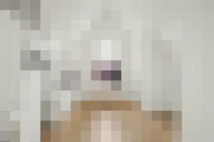Santhorsthof 37 Monster thumbnail 27