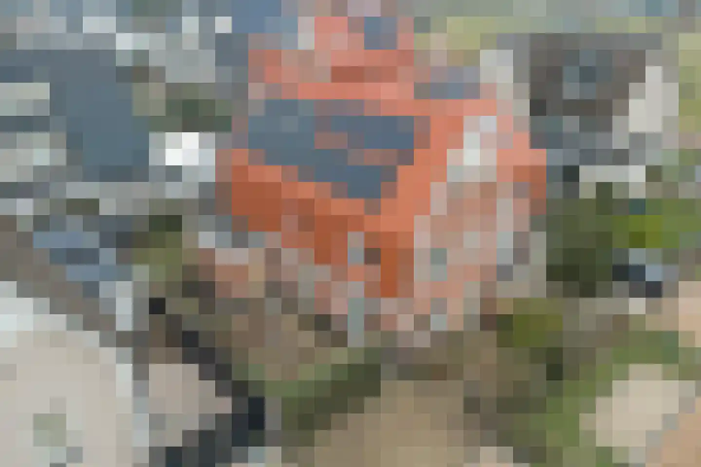 Santhorsthof 37 Monster thumbnail 35