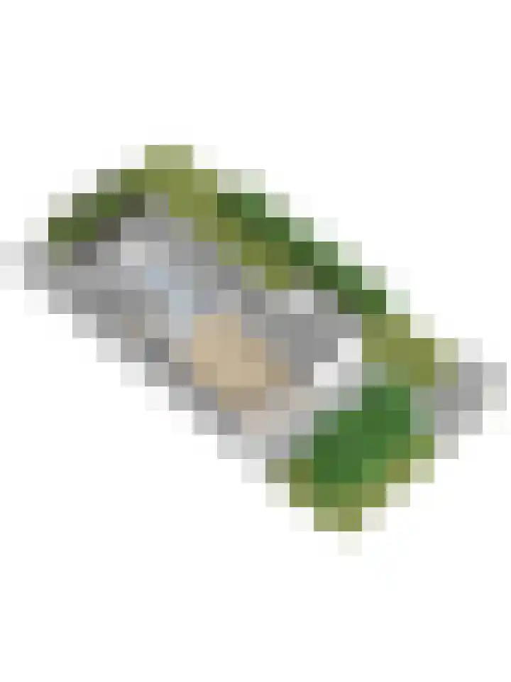 Santhorsthof 37 Monster thumbnail 47