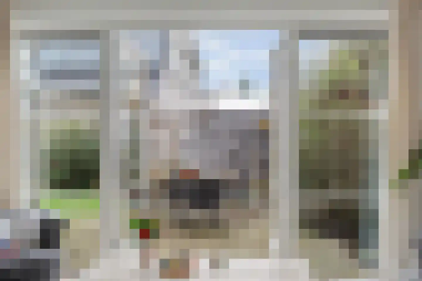 Santhorsthof 37 Monster thumbnail 6